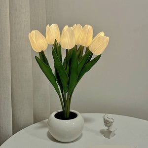 Tulip LED Lamp